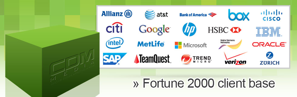Fortune 2000 client base