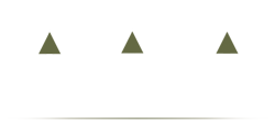 CIO Government Summit Home